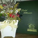 Gasthaus-Pension Herberger